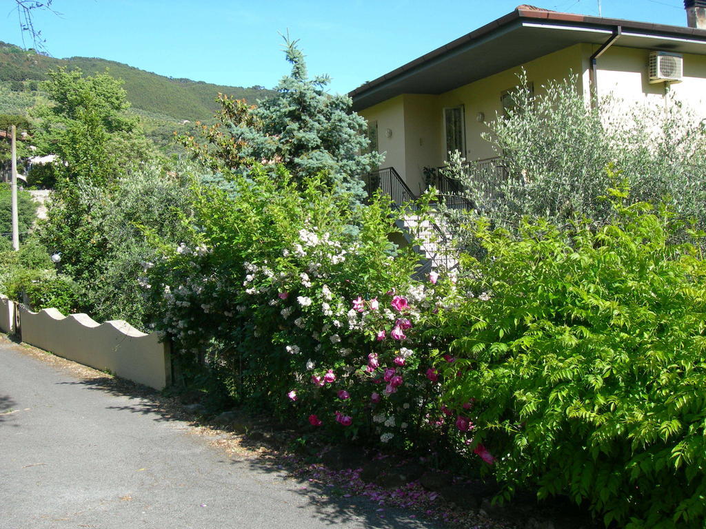 Gli Olivi Villa Calci Oda fotoğraf